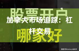 加拿大市场追踪：杠杆交易
