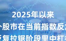 2025年以来境内外股市在当前指数反复拉锯阶段里中杠杆资金的